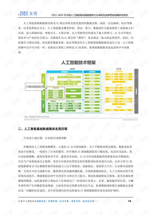 2021-2025年中国人工智能基础数据服务行业调研及品牌营销战略研究报告